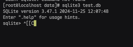 快速加载数据库文件