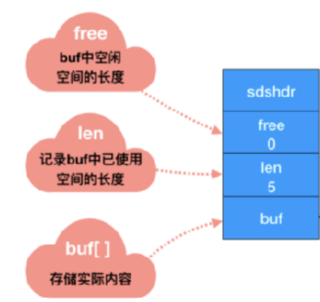 SDS结构