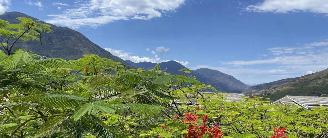使用VBA给多组重复值添加序号