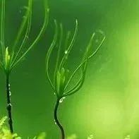 20道必须掌握的C++面试题