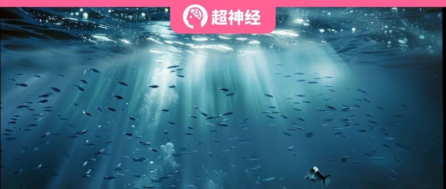 解构海洋缺氧：浙大 GIS 实验室融合机器学习及卫星测绘，发布全球海表溶解氧综合建模框架