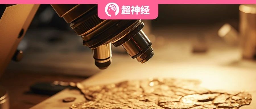 美国阿贡国家实验室发布快速自动扫描套件  FAST，助力显微技术「快速阅读」成为可能