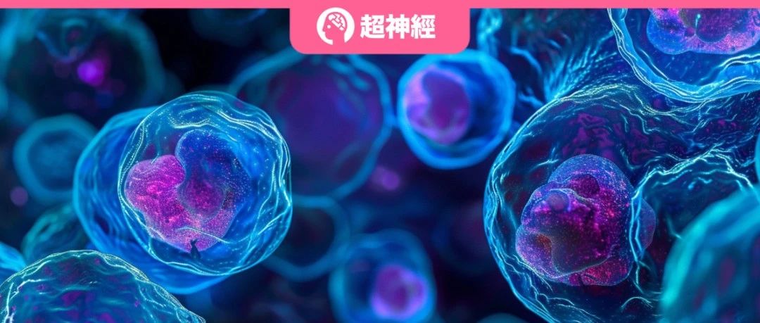 登 Cell 子刊！清华大学张强锋课题组开发 SPACE 算法，组织模块发现能力领先同类工具