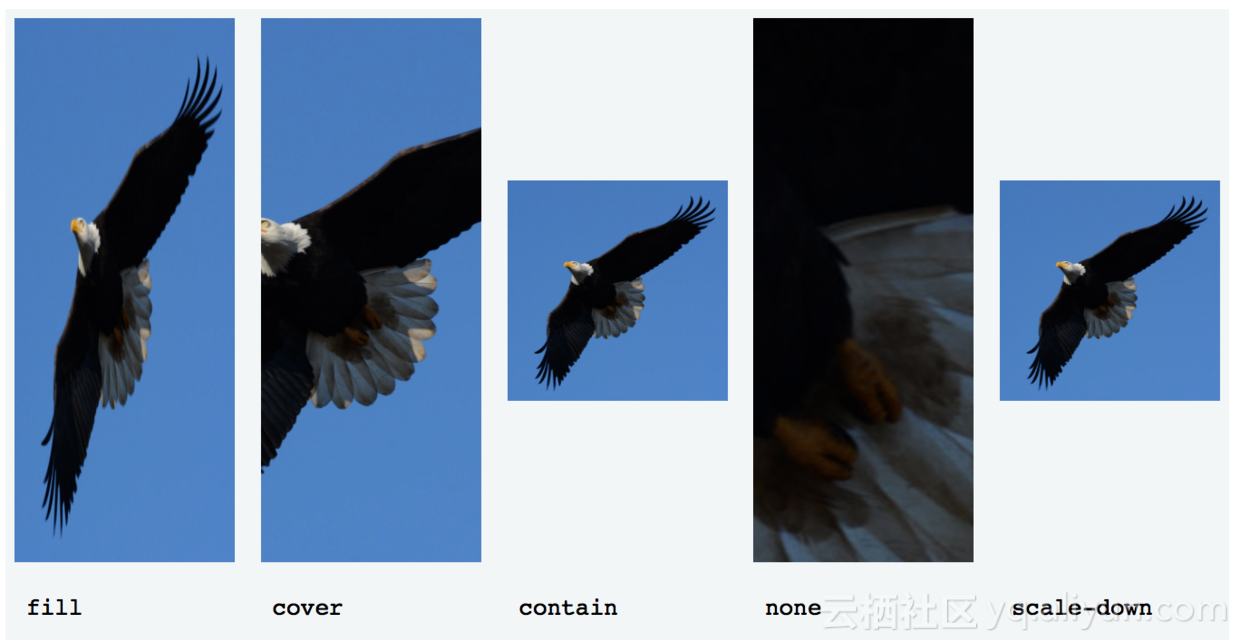 使用Aliplayer在微信中播放视频的正确姿势