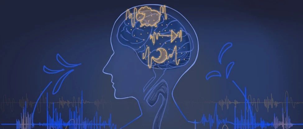 Nature子刊 | 纽约大学团队提出基于深度学习和语音生成技术的脑电-语音解码
