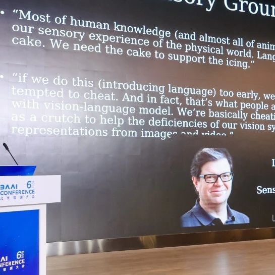 智源独家丨谢赛宁：AI是否需要更强的视觉基础来实现理解和意义?