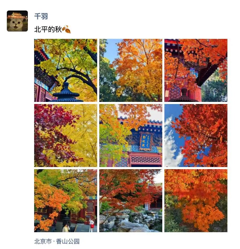 北京-香山公园