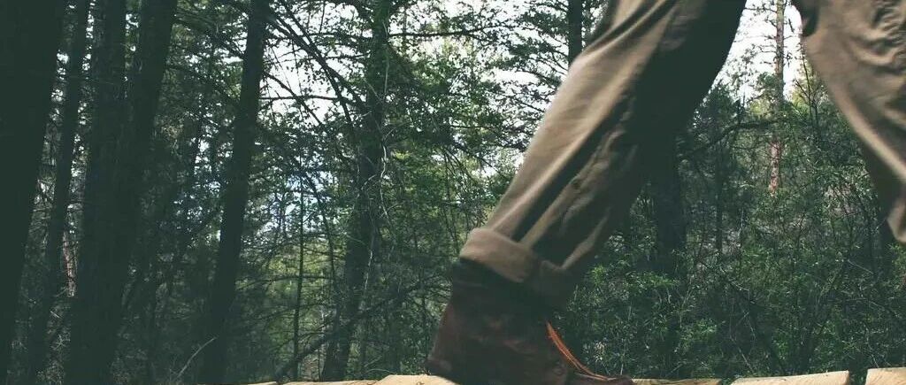 优秀的个人博客,低调大师