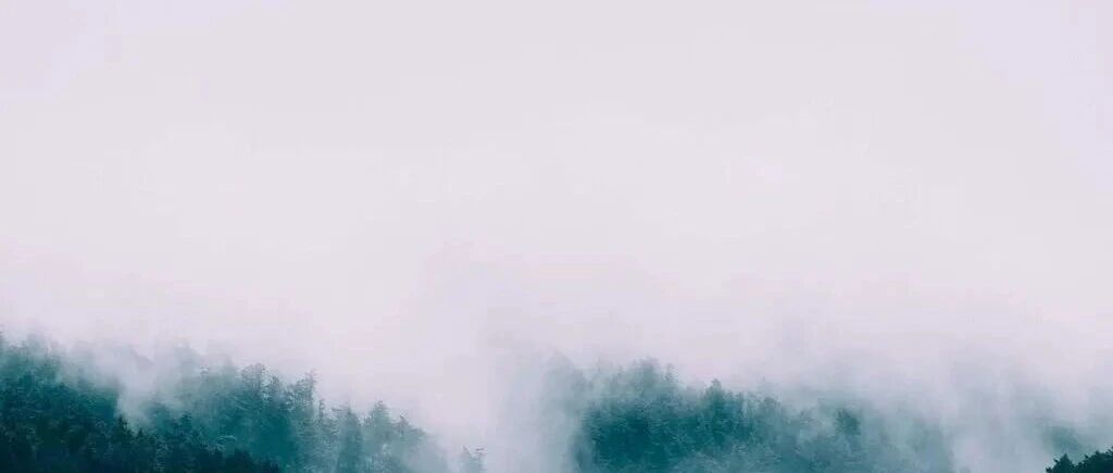 优秀的个人博客,低调大师