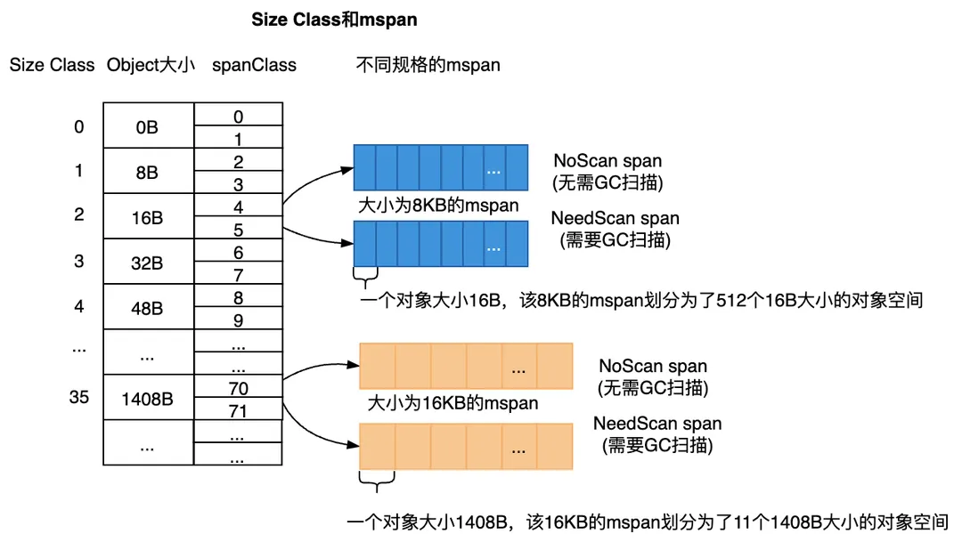 图3.3 Go中一个Size Class对应两个spanClass