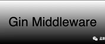 每日一库：Gin Middleware开发