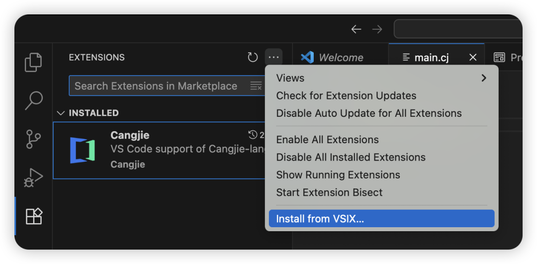 VS Code 插件安装界面