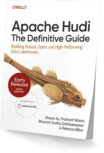 Apache Hudi 权威指南