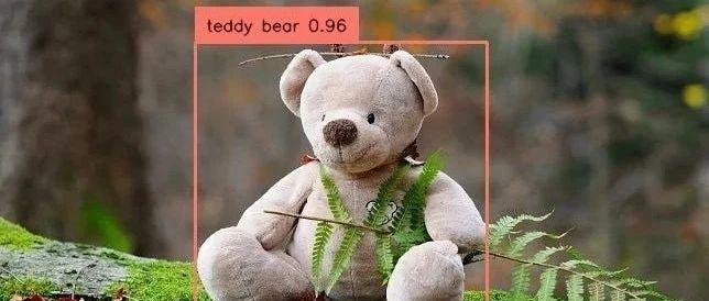使用YOLOv10进行自定义目标检测