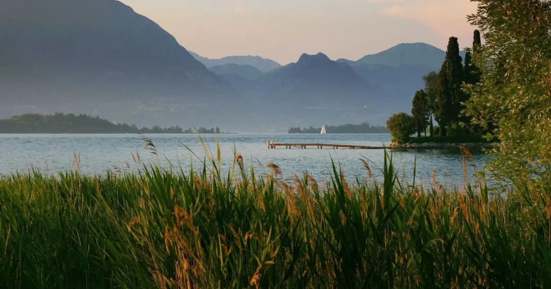 Coding Agent 系统工程解剖