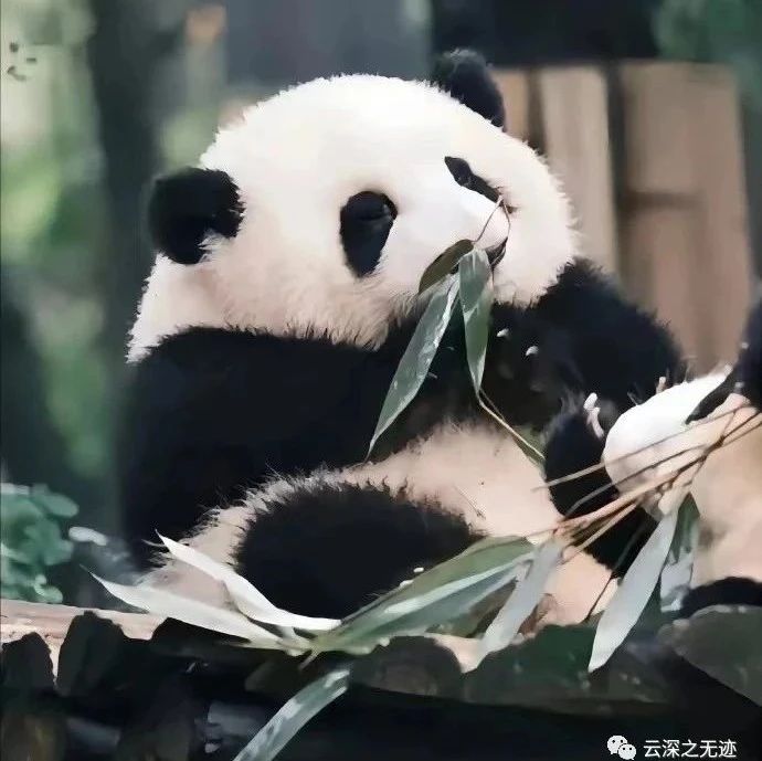 最简单使用LaTex的方式