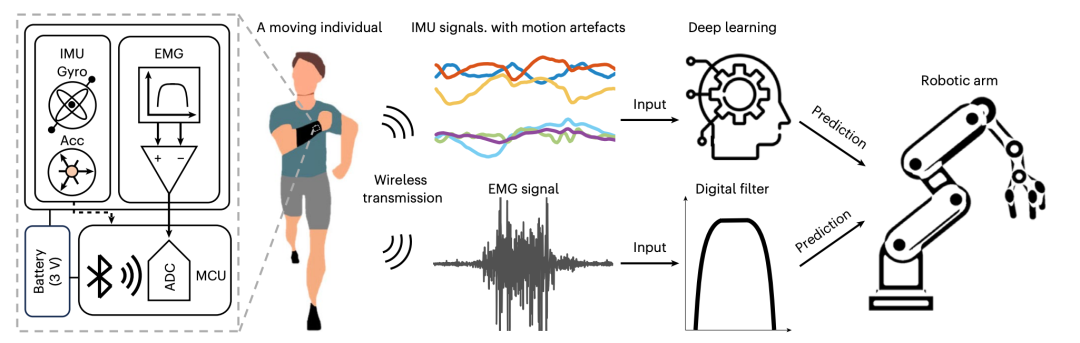 能发 nature 的文章，图都是一大亮点