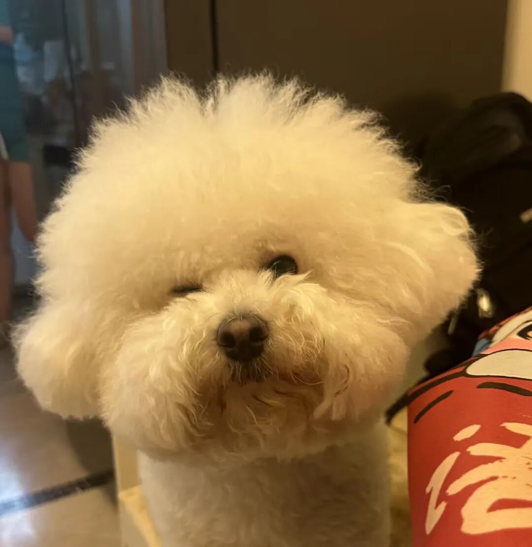 学会了吗？