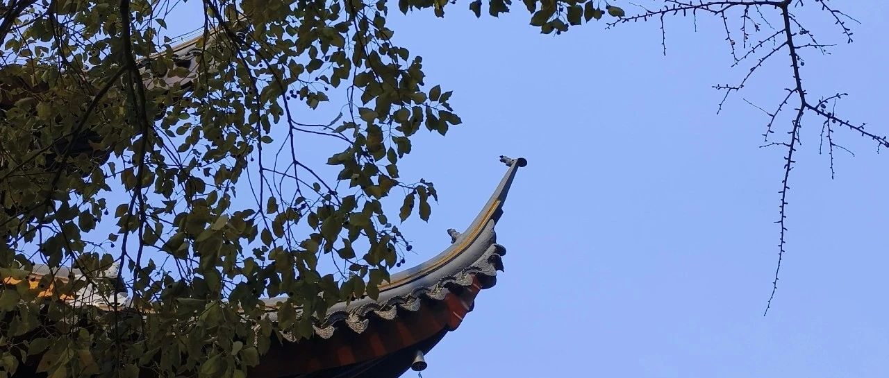 极限语言ε-δ的理解