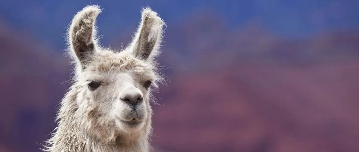详解各种LLM系列｜LLaMA 1 模型架构、预训练、部署优化特点总结