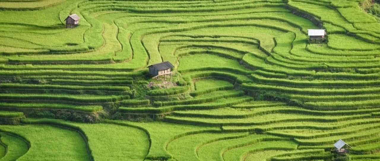 Python 新手突破瓶颈指南：关键字 nonlocal 与 global 理解和应用