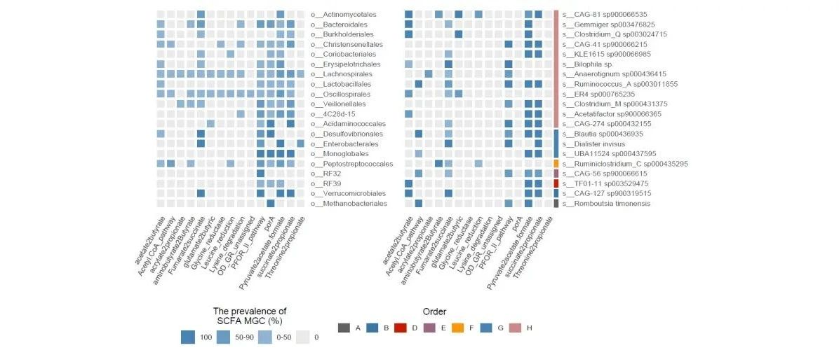 跟着Nature microbiology学作图：R语言ggplot2热图展示离散数据