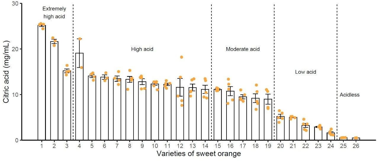 跟着Nature Plants学作图：R语言ggplot2柱形图误差线展示不同甜橙品种柠檬酸含量