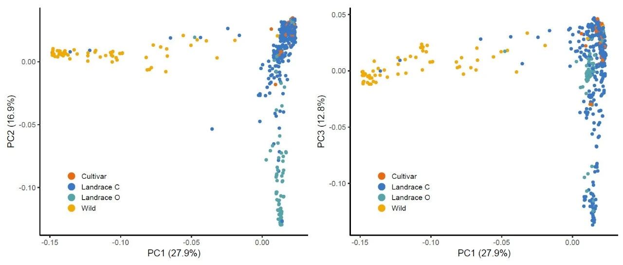跟着Nature Genetics学作图：R语言ggplot2散点图展示主成分分析（PCA）的结果