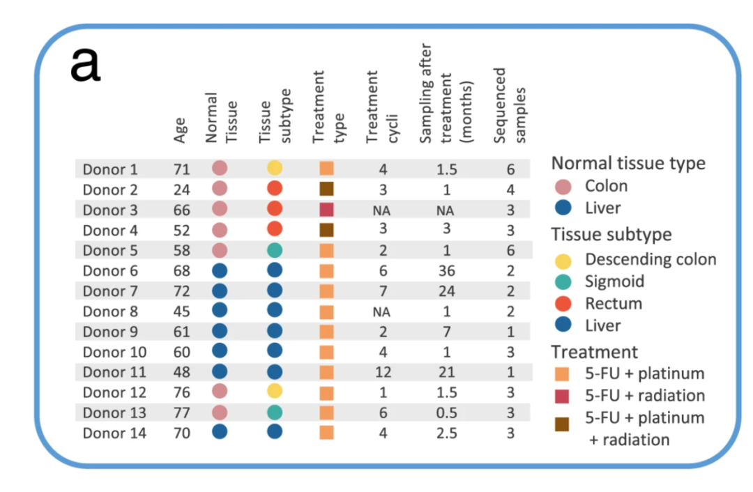 跟着Nature Communications学作图：R语言ggplot2画图展示捐赠者的临床概况