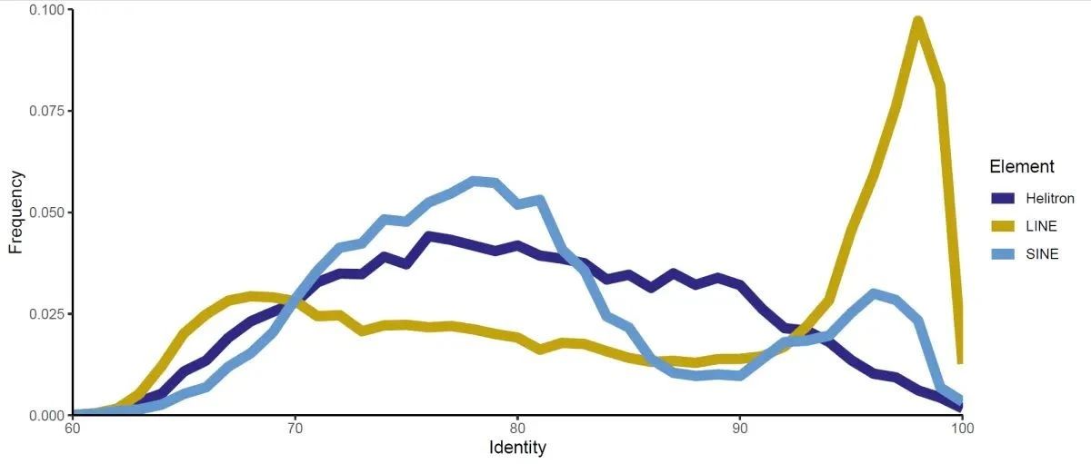跟着Nature Genetics学作图：R语言ggplot2频率分布图展示TE的identity