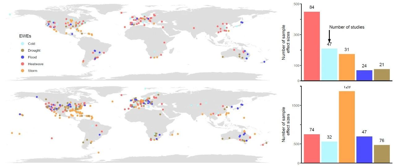跟着Nature Ecology&Evolution学作图：R语言ggplot2世界地图/柱形图/组合图