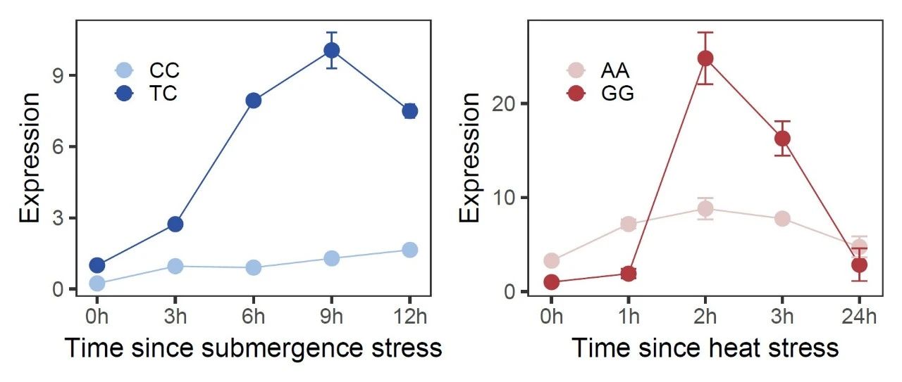 跟着Nature Communications学作图：R语言ggplot2散点图/折线图/误差线展示基因表达量