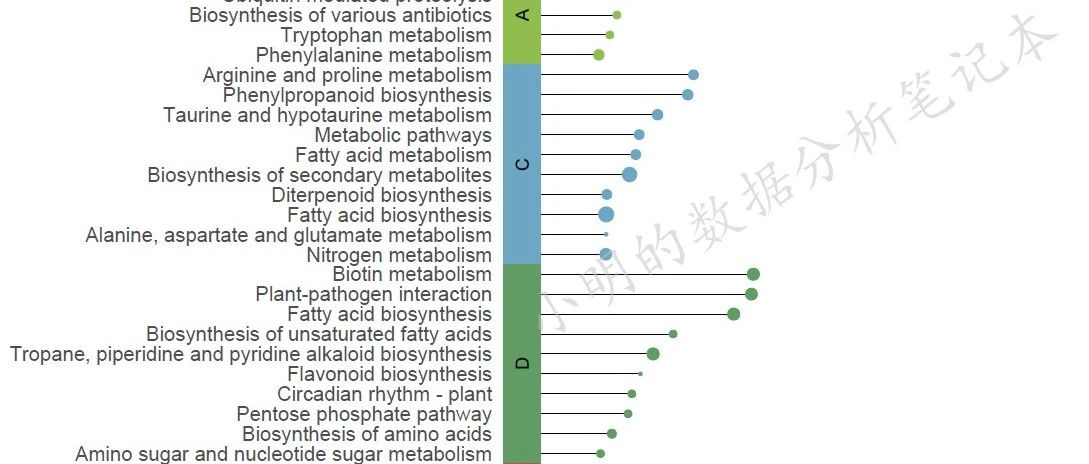 R语言ggplot2画棒棒糖图展示KEGG富集分析结果