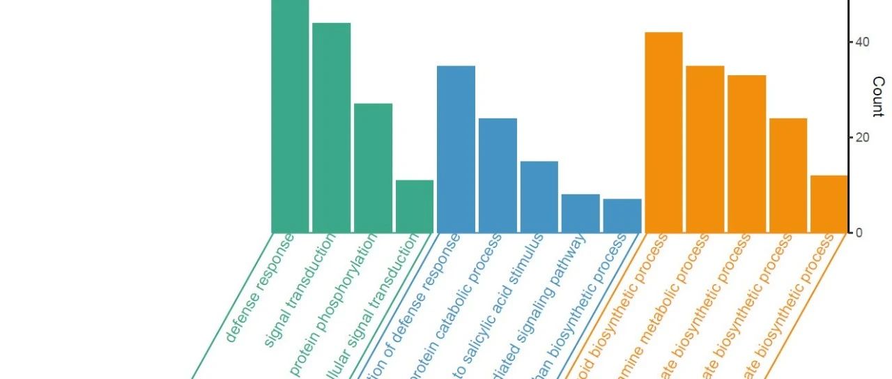 R语言ggplot2画柱形图展示GO富集分析结果—给坐标轴文本添加框线
