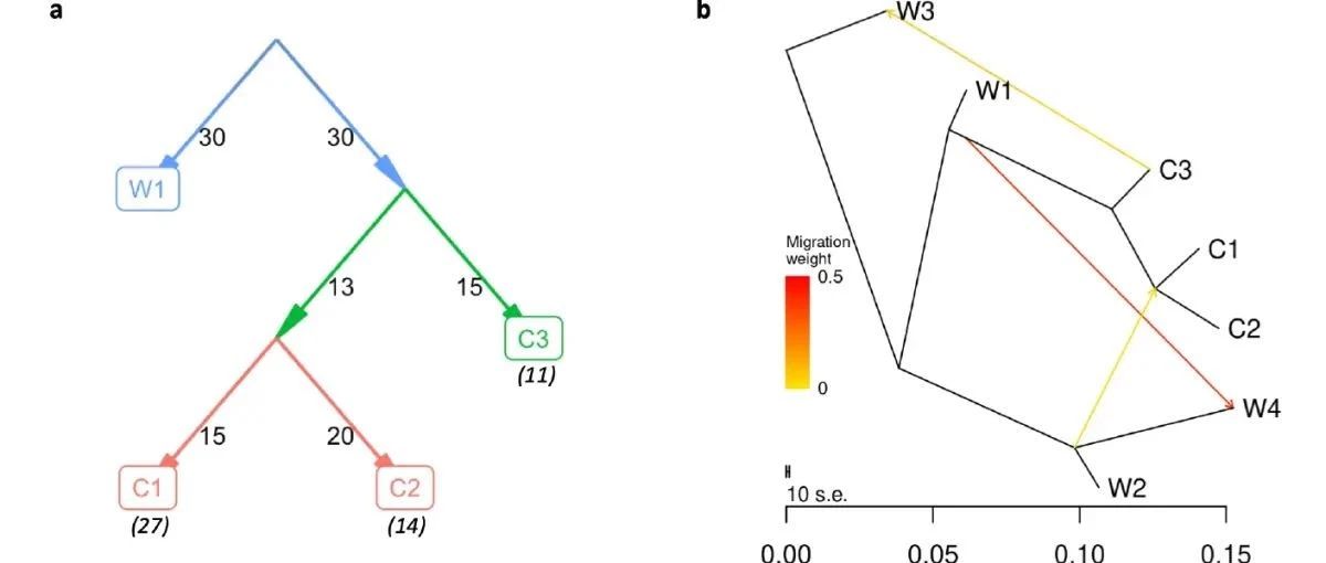 跟着Nature Genetics学数据分析：R语言admixtools群体历史推断初次尝试