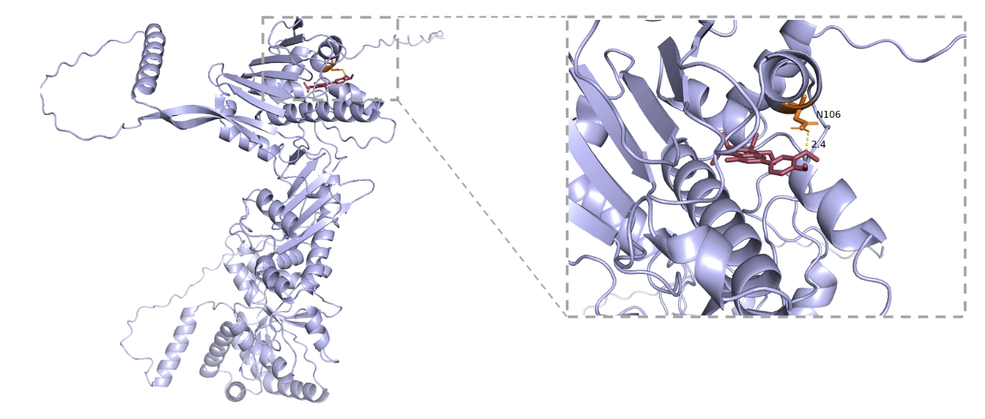 分子对接—蛋白分子和小分子配体