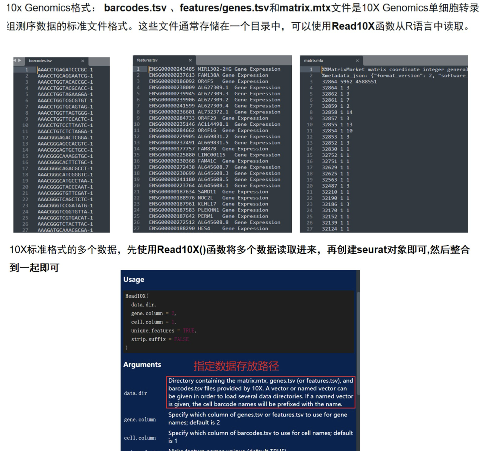 单细胞测序—不同格式的单细胞测序数据读写(多样本)