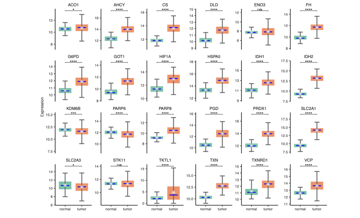 可视化—转录组箱线图美化