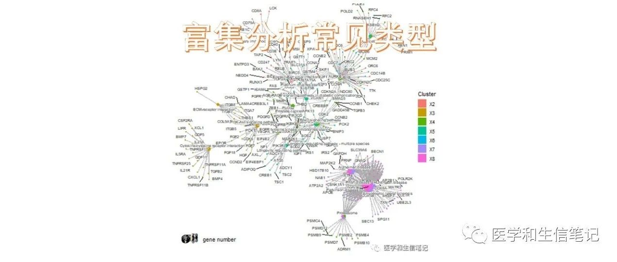 富集分析常见类型