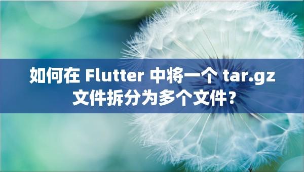 如何在 Flutter 中将一个 tar.gz 文件拆分为多个文件？