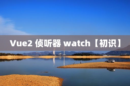 Vue2 侦听器 watch【初识】