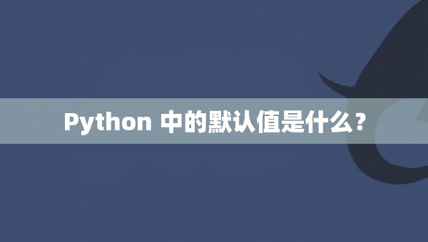 Python 中的默认值是什么？