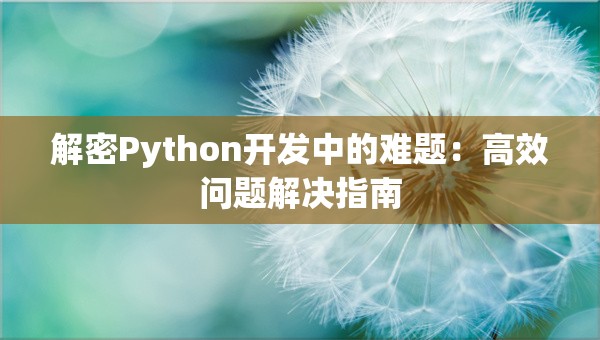 解密Python开发中的难题：高效问题解决指南