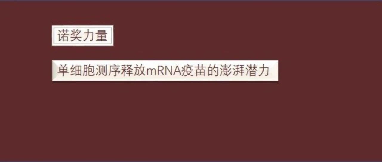 诺奖力量 | 单细胞测序释放mRNA疫苗的澎湃潜力