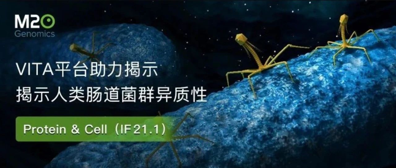 IF 20+！M20 Genomics助力揭示肠道菌群异质性及细菌-噬菌体活性关联