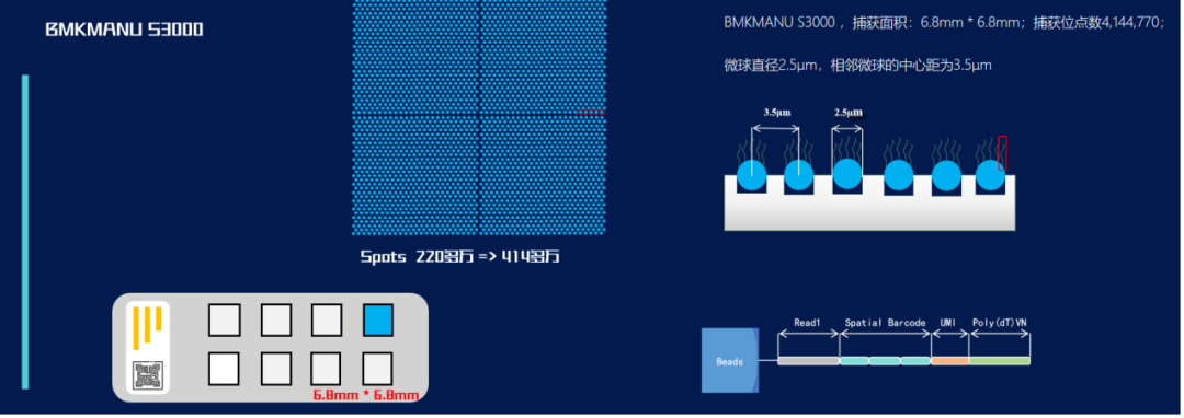 最新demo||百创s3000空间转录芯片demo数据