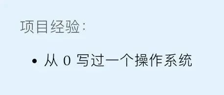 徒手做了个操作系统，稳了！