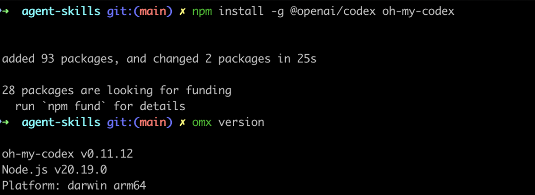 安装完成后先确认 Codex 和 OMX 都可用