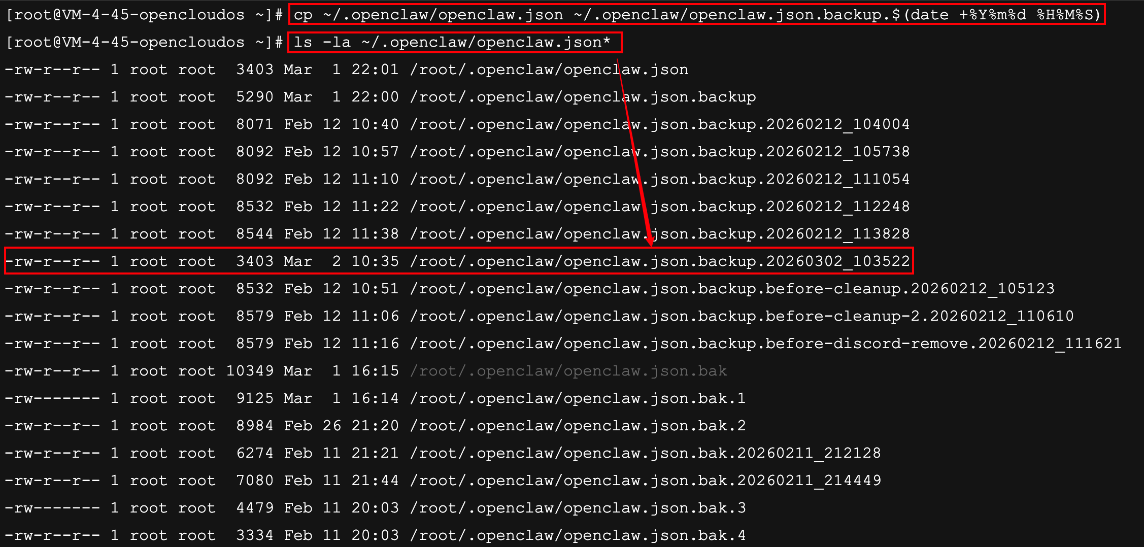 View the OpenClaw configuration backup file