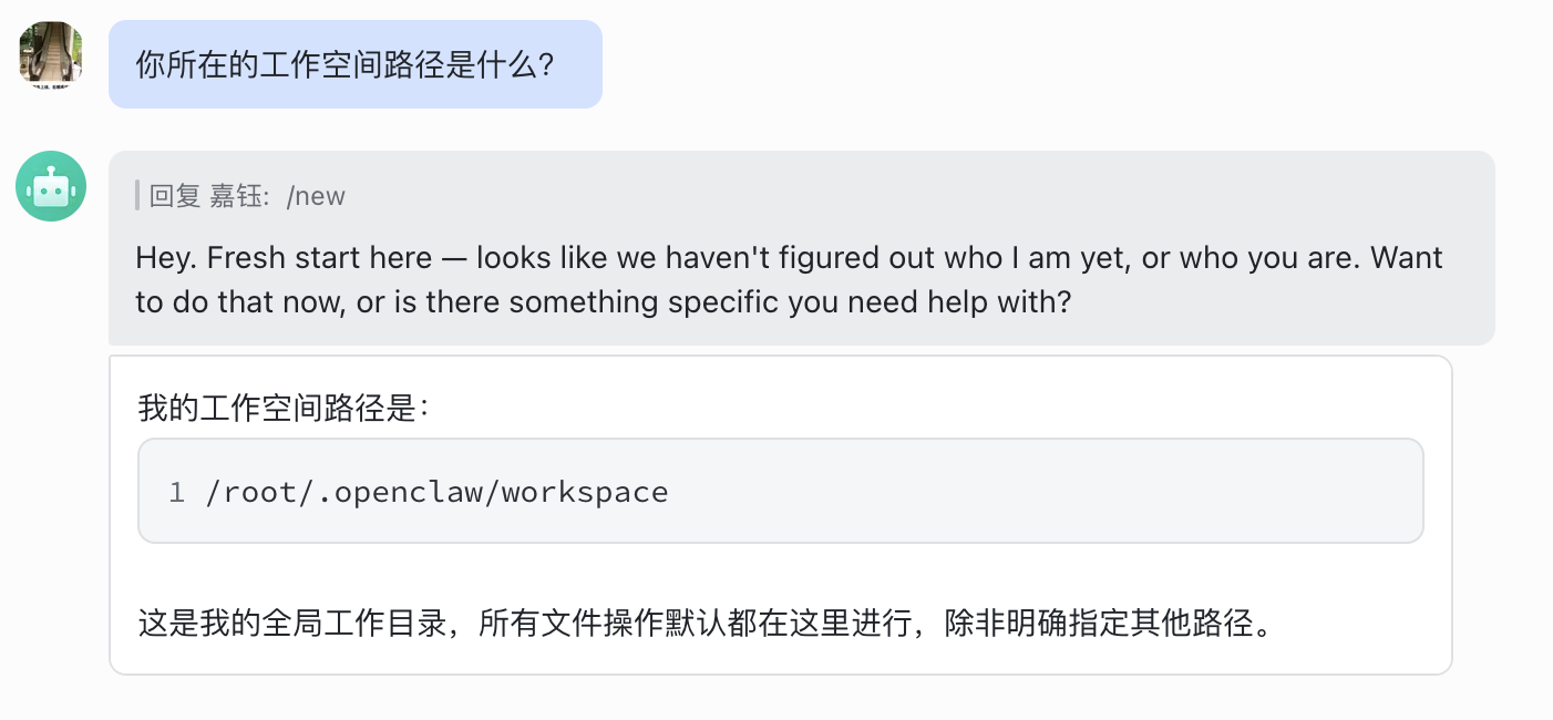 Query the main Agent workspace path in private chat